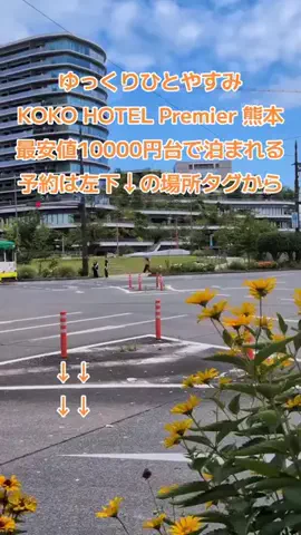 トアンもん　チャンネルのTikTok投稿