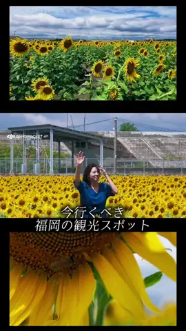 あそびわーるど / AsobiWorldのTikTok投稿