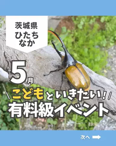 茨城ガイド📕あせこ【お出かけ・グルメ・観光・イベント】のTikTok投稿