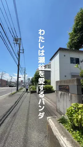 瀬谷なびのTikTok投稿