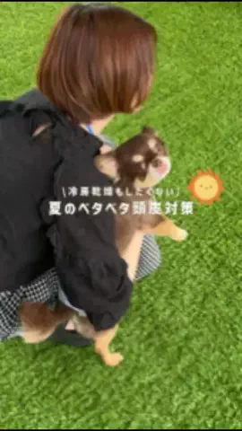 小籠包りむ🥟のTikTok投稿