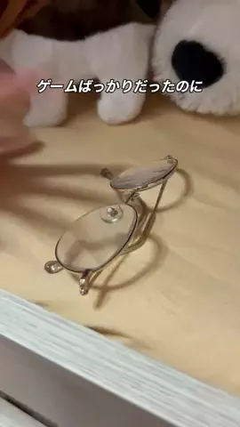 まもライフハックのTikTok投稿