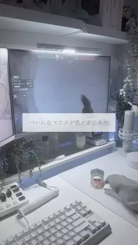 くむのTikTok投稿