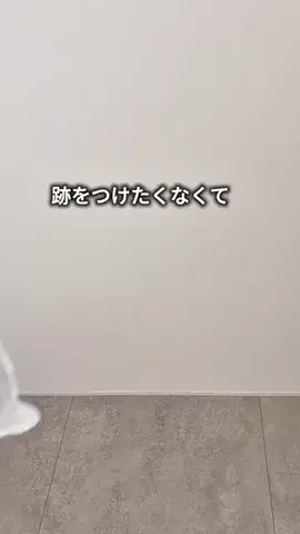 とむ 推しみっけのTikTok投稿