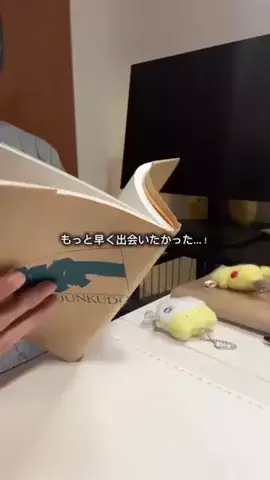応援ナースねこ🏝のTikTok投稿