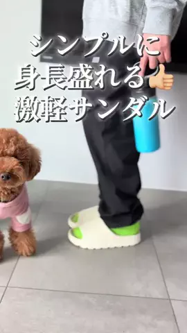 グレン君🐶トイプ🐶Hi i'm GLEN🐶のTikTok投稿