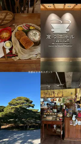 なみちゃん旅のTikTok投稿