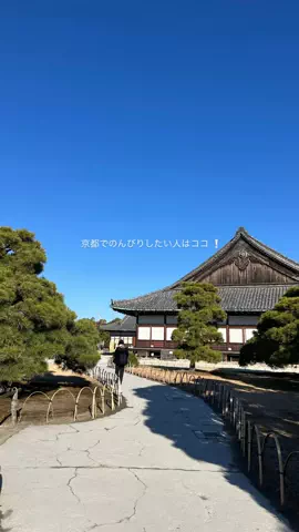 なみちゃん旅のTikTok投稿