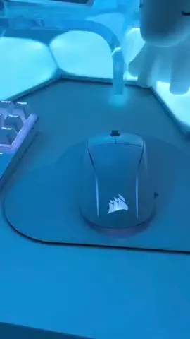 モエリのTikTok投稿