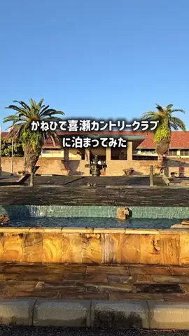 yuukaのTikTok投稿