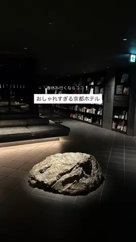 なみちゃん旅のTikTok投稿