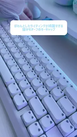 真白れいのTikTok投稿