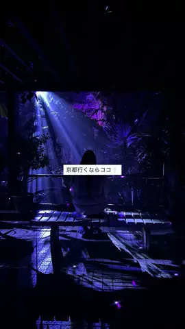 なみちゃん旅のTikTok投稿