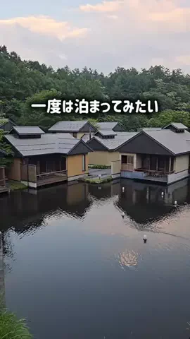 yuukaのTikTok投稿