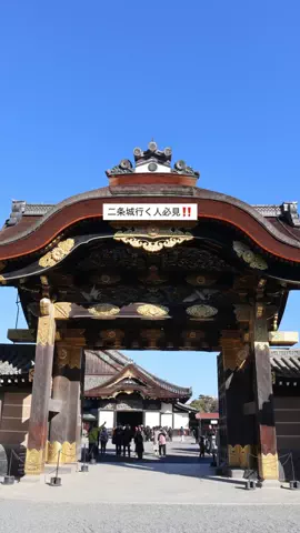 なみちゃん旅のTikTok投稿