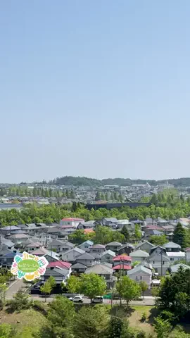 仙台つーしんエンタメ部のTikTok投稿