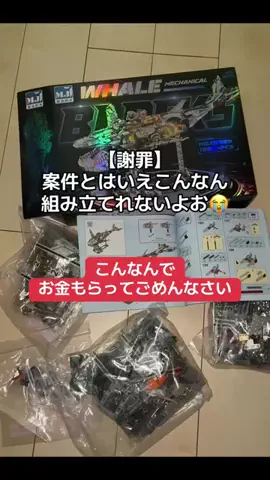 🔎購入代行🎁【TikTokshop商品正直レビュー】のTikTok投稿