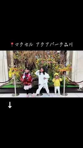 のりママのTikTok投稿