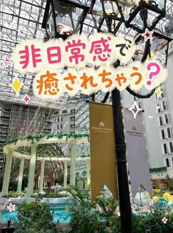 のりママのTikTok投稿
