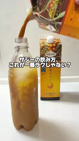 サケ子｜旅と暮らしの推しのTikTok投稿