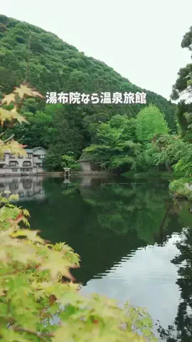 旅するてりやきのTikTok投稿
