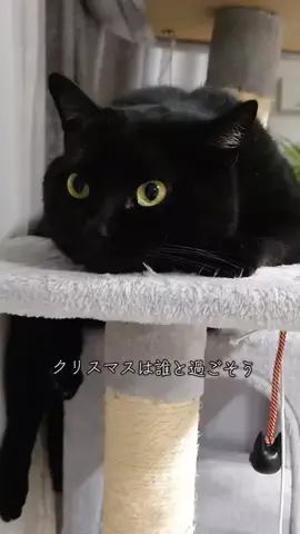 kuroneko_jijiのTikTok投稿