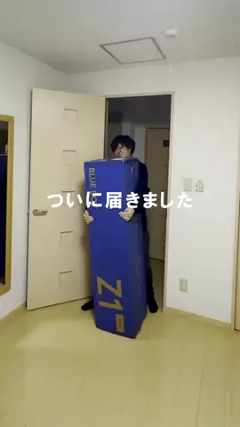のん｜100日後に北欧風の部屋を作るバツイチ男のTikTok投稿