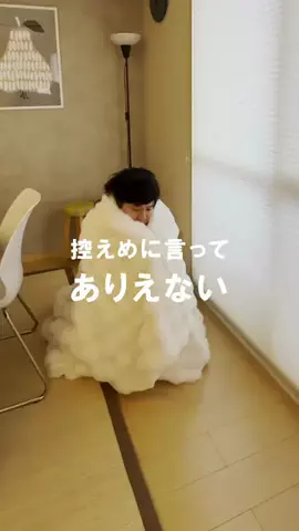 のん｜100日後に北欧風の部屋を作るバツイチ男のTikTok投稿