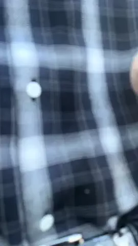 はやてのTikTok投稿