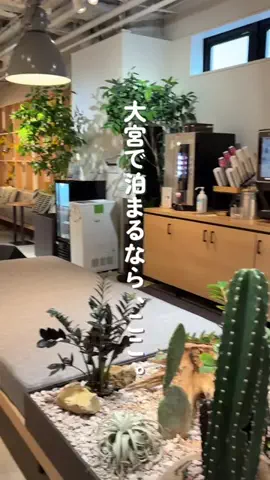 群馬発すー旅⌇旅と暮らしのTikTok投稿
