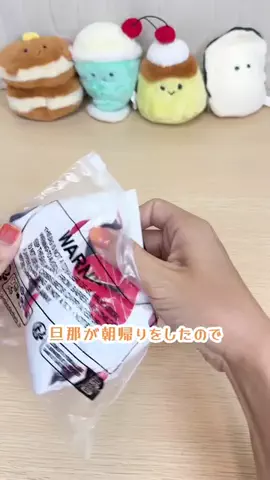 がーなめいどのTikTok投稿