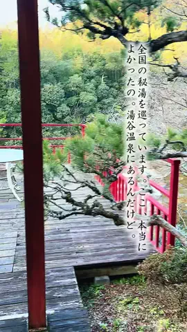 Fuki Fu-campのTikTok投稿