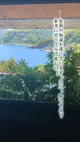 Fuki Fu-campのTikTok投稿