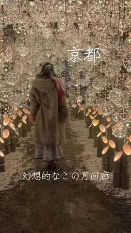 さきえる|お茶と京都の季節の彩り🌸🍵のTikTok投稿