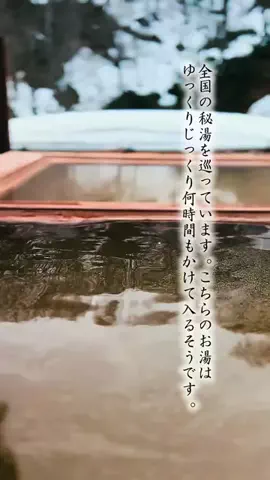 Fuki Fu-campのTikTok投稿