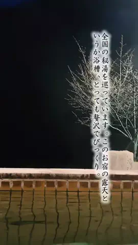 Fuki Fu-campのTikTok投稿