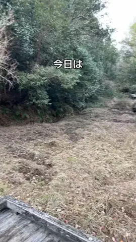 食パン一斤となぴのTikTok投稿
