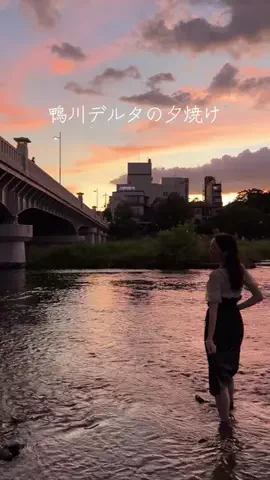 さきえる|お茶と京都の季節の彩り🌸🍵のTikTok投稿