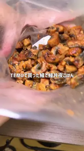 フジタの底辺キッチンのTikTok投稿