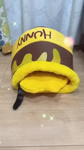 楽しく伝えるあか音ちゃん👩🛍️のTikTok投稿