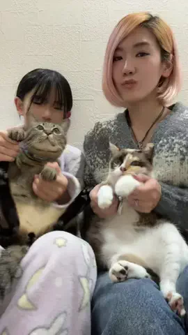 楽しく伝えるあか音ちゃん👩🛍️のTikTok投稿