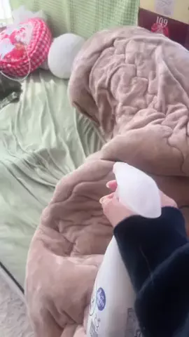 モモの実のTikTok投稿