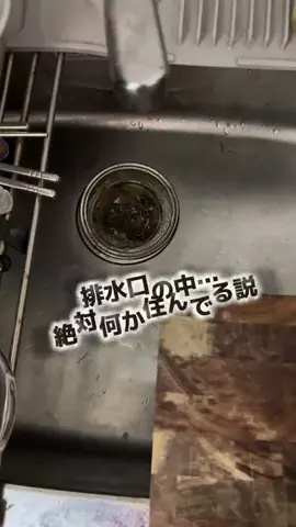 Nitera/にてら🐻‍❄️🎆のTikTok投稿