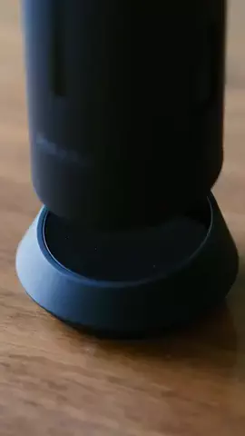 マメのTikTok投稿