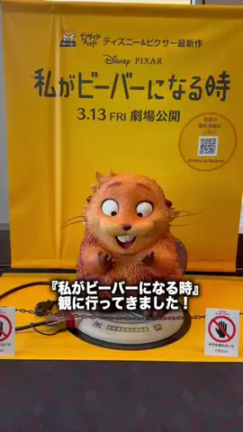 ぽきのTikTok投稿