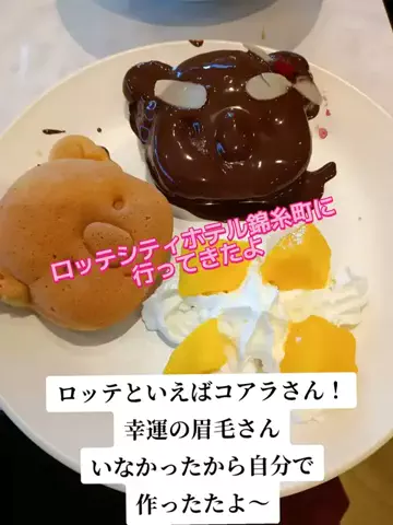トトのTikTok投稿