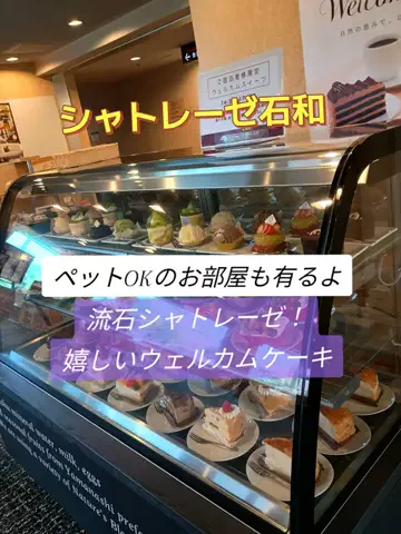 トトのTikTok投稿