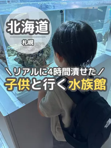 BESKOのTikTok投稿