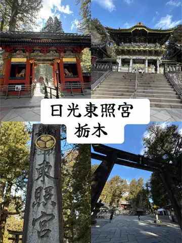 ラベちゃん🪻温泉旅♨️のTikTok投稿