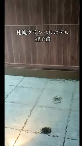 トトのTikTok投稿